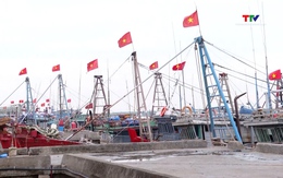 Quyết liệt thực hiện các giải pháp chống khai thác hải sản bất hợp pháp