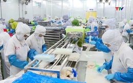 Hướng tới nền nông nghiệp hiện đại, giá trị cao