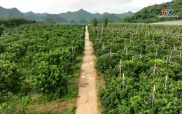 Đến năm 2030, 100% dữ liệu nông nghiệp và môi trường được số hóa, kết nối, chia sẻ đồng bộ