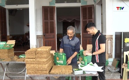 Đưa sợi rơm vàng vươn ra thế giới