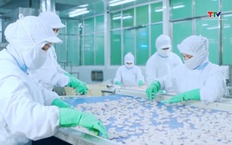 EU kiểm soát thủy sản nhập khẩu