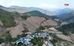 Khát khao nơi vùng lõm sóng