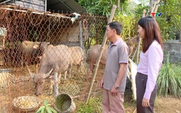 Tín dụng chính sách xã hội - thúc đẩy phát triển kinh tế địa phương