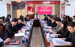 Giám sát công tác lãnh đạo, chỉ đạo bầu cử đại biểu Quốc hội và Hội đồng Nhân dân các cấp