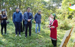 Khởi động dự án “Gieo mầm bền vững”