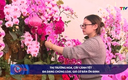 Bản tin Tài chính – Thị trường 01/02/2026