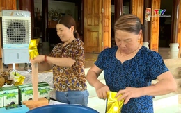 Hỗ trợ nông dân phát triển kinh tế tập thể