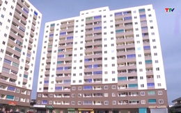 Chính phủ yêu cầu vận hành sàn giao dịch tài sản mã hóa, vàng, bất động sản trước ngày 28/2