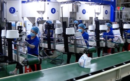 Giá gạo Việt Nam giữ vị thế cạnh tranh