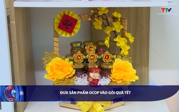 Bản tin Tài chính - Thị trường ngày 11/02/2026