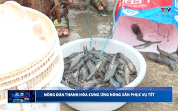 Bản tin Dòng chảy kinh tế ngày 11/02/2026