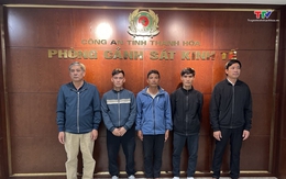 Bắt 5 đối tượng mua bán, vận chuyển lợn dương tính với dịch tả lợn châu Phi