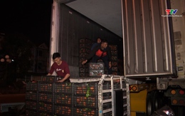 Chợ Tết xuyên đêm những ngày cuối năm