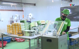 Phát triển kinh tế hợp tác xã khu vực miền núi Thanh Hóa