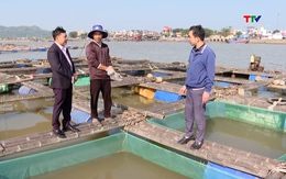 Tiếp sức cho người dân phát triển sản xuất, kinh doanh          