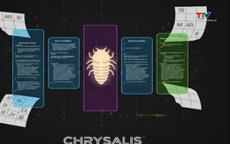 Rủi ro an ninh mạng với Viêt Nam từ chuỗi tấn công mới 