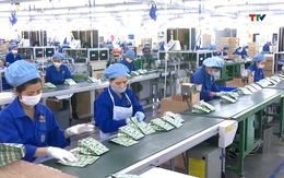 Tháng 1/2026 có gần 49.000 doanh nghiệp gia nhập thị trường