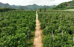 Triển khai Chiến lược dữ liệu trên địa bàn tỉnh Thanh Hóa đến năm 2030