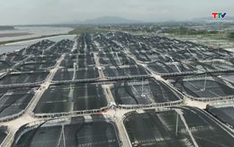 Công nghệ cao - đòn bẩy nâng giá trị kinh tế nông nghiệp