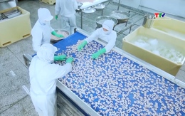 FDA sẽ tăng cường kiểm tra các sản phẩm tôm nhập khẩu