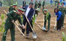 Cục Quân khí tổ chức Tết trồng cây 