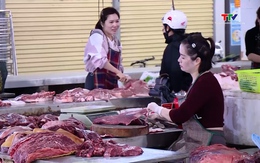 Sau Tết, thực phẩm dồi dào, giá ổn định