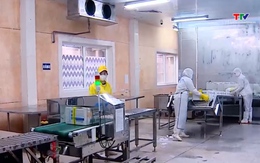 Mỹ chi hơn 50 triệu USD để mua cá rô phi ở Việt Nam 