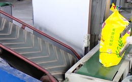 Gạo Việt Nam cạnh tranh ở phân khúc cao cấp