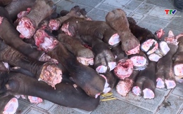 Phát hiện, thu giữ gần 6 tấn thực phẩm không rõ nguồn gốc