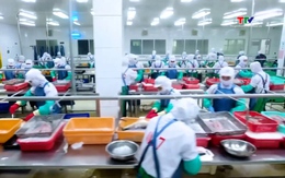 EU tăng cường kiểm soát thủy sản nhập khẩu