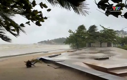 Năm 2026, dự báo Việt Nam đón ít bão hơn so với năm 2025
