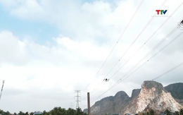 Nỗ lực vận hành an toàn hệ thống truyền tải điện trong dịp Tết