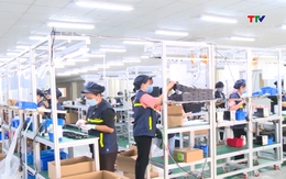 Tháng 1/2026: Thu ngân sách tăng hơn 20% 