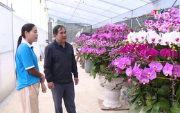 Bản tin Nông nghiệp – Nông thôn 07/02/2026