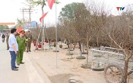 Phường Quang Trung lập lại trật tự, chỉnh trang đô thị trước Tết