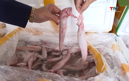 Thanh Hóa mạnh tay xử lý buôn lậu, gian lận thương mại dịp Tết