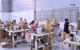 Đề xuất nâng hỗ trợ bảo hiểm nông nghiệp lên tối đa 95%