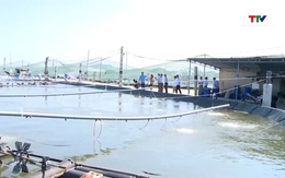 Sẵn sàng cho vụ nuôi trồng thủy sản Xuân Hè 2026