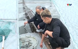 Nâng cao hiệu quả quản lý nuôi trồng thủy sản