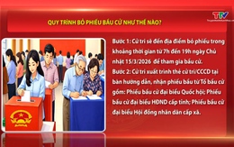 Quy trình bỏ phiếu bầu cử như thế nào?