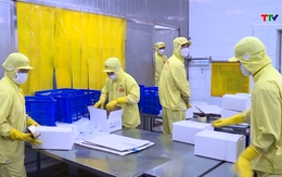 Xuất khẩu nông lâm thủy sản tăng trên 17%