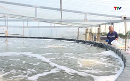 Chuẩn bị các điều kiện nuôi trồng  thủy sản vụ xuân hè