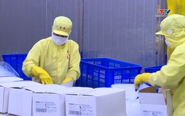 Xuất khẩu nông, lâm, thủy sản 2 tháng đầu năm đạt hơn 11  tỷ USD