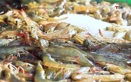 5 thị trường Trung Đông nhập khẩu hàng của Việt Nam gần 10 tỷ USD 