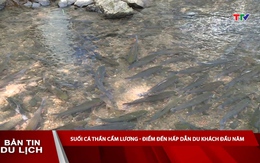 Bản tin Du lịch 17/3/2026