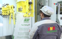 Xuất khẩu gạo tăng 5% về lượng, giá bình quân giảm mạnh