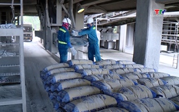 Giá xi măng tăng lần thứ ba trong quý I