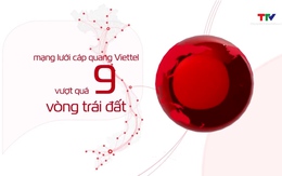 Viettel đứng số 1 thế giới về sức mạnh thương hiệu viễn thông