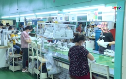 Ngành da giày chủ động nguyên liệu nhằm duy trì đà tăng trưởng 