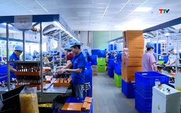 Chủ động ứng phó với chính sách thuế quan của Mỹ